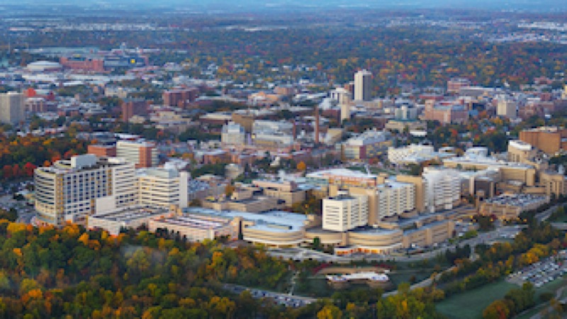 Ann Arbor
